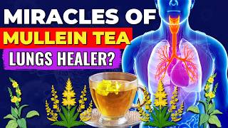 When You Drink Mullein Tea Daily Heres What Happens to Your Body Mullein tea benefits [upl. by Atinrahc753]