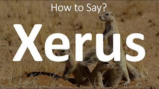 How to Pronounce Xerus CORRECTLY [upl. by Maybelle]