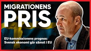 MIGRATIONENS PRIS [upl. by Ema]