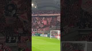 Gästefans in Stuttgart Kaiserslautern und Atalanta 💯 vfbstuttgart vfb atalanta betze lautern [upl. by Lynna654]