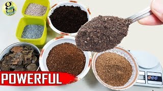 Best DIY Fertilizer Mix Recipe Universal Allpurpose Mixed Fertilizer Powder [upl. by Bonacci]