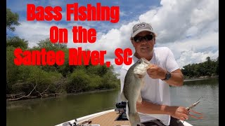 Bass Fishing on the Santee River SC [upl. by Aihsaei618]