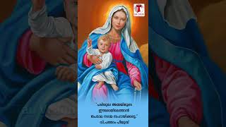 Kanyaka Meri Amme Kaval Malaga Maare  Mother Mary Whatsapp Status  Tau Vision [upl. by Lauhsoj]