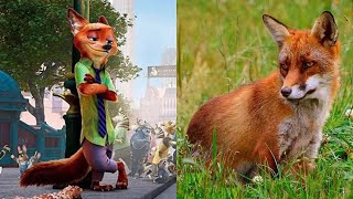 Zootropolis Město zvířat Postavy v reálném životě [upl. by Yanehs384]