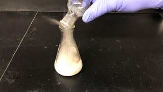 Grignard Reaction Experiment Part 3 Reaction with CO2 Workup and Characterization [upl. by Kiel649]