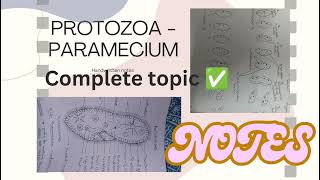 PROTOZOA PARAMECIUM HANDWRITTEN NOTES 👍💯📝COMPLETE TOPICFULLY COVERED WITH SUITABLE DIAGRAM [upl. by Uchida]