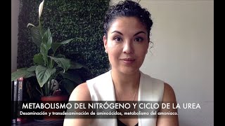 Metabolismo del nitrógeno y ciclo de la urea [upl. by Rebecca]