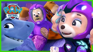 Water Pups redden een Merdinger  PAW Patrol Nederlands [upl. by Linnea98]