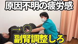 原因不明の疲労感を解消する！副腎調整の整体法｜フューチャーエナジー整体院 [upl. by Gavra]