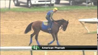 American Pharoah gallops on May 28 at Churchill Downs [upl. by Mizuki154]