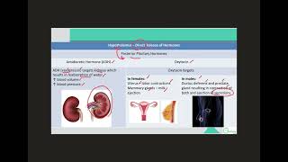 Hormones of Pituitary Gland [upl. by Atteloiv]