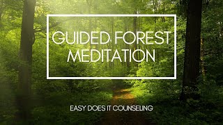 Guided Meditation  Beautiful Forest Walk [upl. by Orgell139]