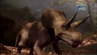 When Dinosaurs Roamed America  Zuniceratops christopheri [upl. by Lienhard]