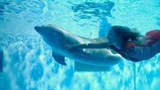 Dolphin Tale Building Winters Prosthetic Tail [upl. by Cung208]