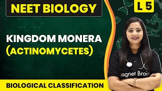 Kingdom Monera Actinomycetes  Biological Classification  L5 Concepts  NEET Biology [upl. by Dehsar]