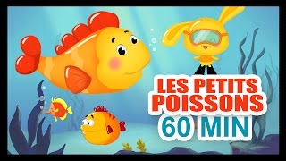 Les petits poissons dans leau  1H DE COMPTINES POUR LES PETITS  Titounis [upl. by Onaivlis]