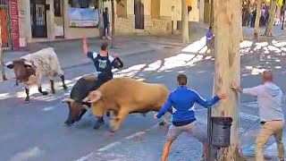 ✅2024 ARGANDA Gran Recorte de GERARDO Entre Dos Toros [upl. by Fishbein]