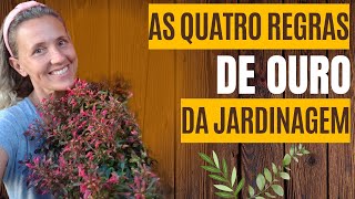 COMO TER PLANTAS BONITAS E SAUDÁVEIS COM APENAS 4 REGRAS [upl. by Dehlia]