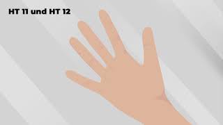 Zertifizierte Handtherapie der AFH®  Akademie für Handrehabilitation  Module HT11 bis HT13 [upl. by Hsot102]