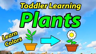 Learn Plant Lifecycle  Educational Videos for Kids  Kindergarten Learning Preschool Toddler Videos [upl. by Nabila930]