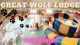 2 DAY GETAWAY AT THE GREAT WOLF LODGE IN THE POCONOS [upl. by Ayotol758]