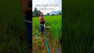 Dewatering Pump ll Dhana Phasala Re Motor Pump ll Budivlogs ll Jatra Song ll [upl. by Barbette325]