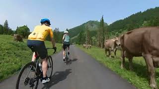 ZZP Grosse Scheidegg Ride 29 Jun 24 [upl. by Tia]