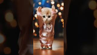 cat bhangra dance 😝✨catvideos shorts [upl. by Theall598]