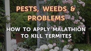 How to Apply Malathion to Kill Termites [upl. by Delainey801]