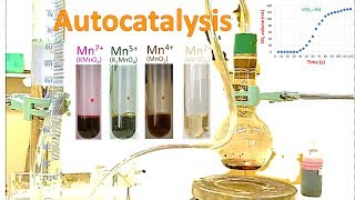 Autocatalysis reaction handson [upl. by Jonati]