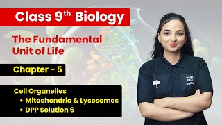 Cell Organelles  Mitochondria amp Lysosomes DPP Solution 6  Class 9 Biology Chapter 5  CBSE 2024 [upl. by Ydor163]