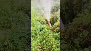 Water Sprayer reels ytshorts spray watersupply [upl. by Acirehs]