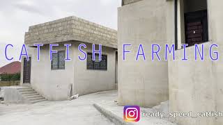 CATFISH FARMING IN GHANA AFRICA READY SPEED FARMS [upl. by Mackey]