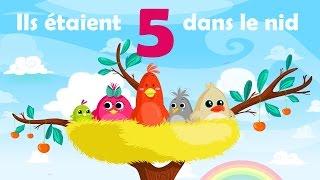 Ils étaient 5 dans le nid  Comptine avec gestes pour enfants et bébés avec les paroles [upl. by Namreg]