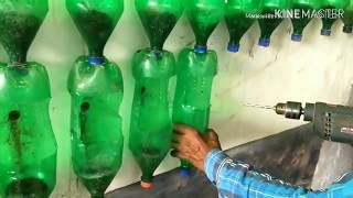 Vertical gardening with Plastic bottles [upl. by Dido]