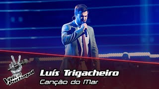 Luís Trigacheiro  quotCanção do Marquot  Gala  The Voice Portugal [upl. by Oates]