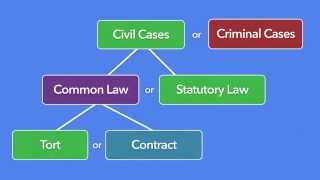 Episode 11 What is Torts And what Torts is not [upl. by Cence]