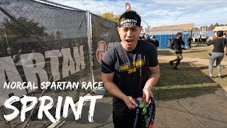 2024 Norcal Spartan Sprint 5K [upl. by Giacomo883]