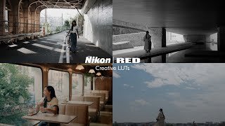 Nikon x RED – Creative LUTs for NLog [upl. by My774]