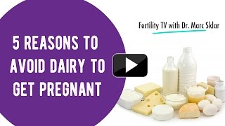 5 Reasons To Avoid Dairy to Get Pregnant 2  Marc Sklar The Fertility Expert [upl. by Kolosick]