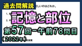 【過去問解説：第57回国家試験午前78問目】記憶と部位【理学療法士・作業療法士】 [upl. by Sundstrom]