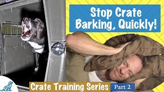 How To Stop Your Dog From Barking In Their Crate At Night [upl. by Clynes]