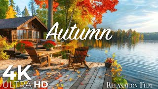 Autumn Forest 4K • Nature Relaxation Film with Peaceful Relaxing Music and Nature Video Ultra HD [upl. by Kunin]