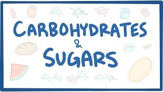 Carbohydrates amp sugars  biochemistry [upl. by Percy22]