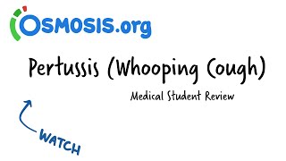 Pertussis Whooping Cough  Osmosis Study Video [upl. by Melcher]