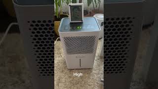 AlecoAir D 12 junior vs D16 Home noise test [upl. by Thill573]