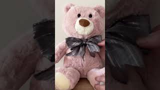 My NEW DIY teddy bear [upl. by Eelnayr976]