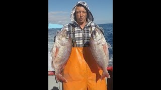 Fishing video Pesca Açores Pargo Abrótea Raia Moreia Cação Congro Goraz [upl. by Eaner]