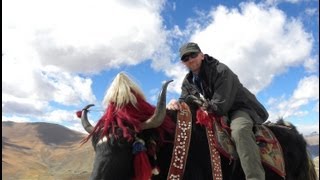 7 Jahre in Tibet [upl. by Eicul]