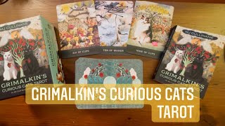 Grimalkin’s Curious Cats Tarot  Full Flip Through [upl. by Gokey]